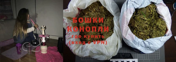 гашик Алексеевка