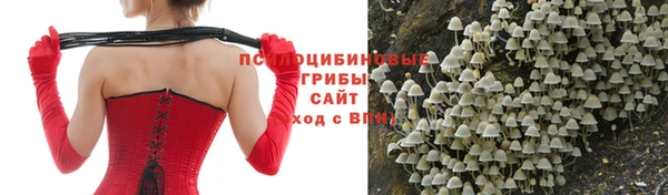 гашик Алексеевка