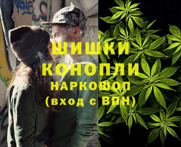 гашик Алексеевка