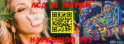 кокс Владимир