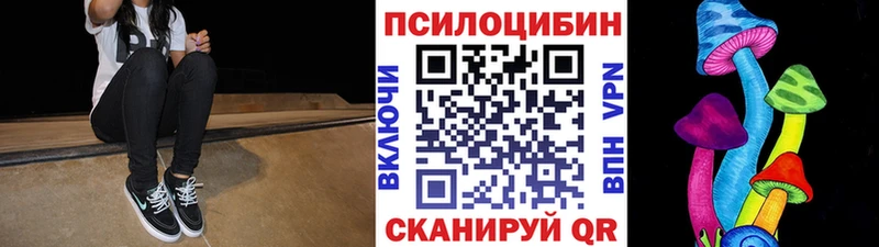 где купить наркоту  Курск  Псилоцибиновые грибы Psilocybe 