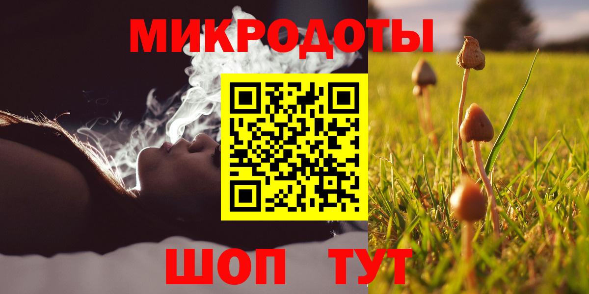 Курск  сколько стоит  Вход с VPN  Псилоцибиновые грибы MAGIC MUSHROOMS 