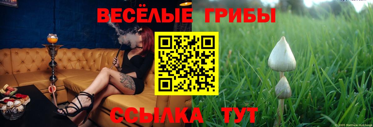 Галлюциногенные грибы мухоморы Курск