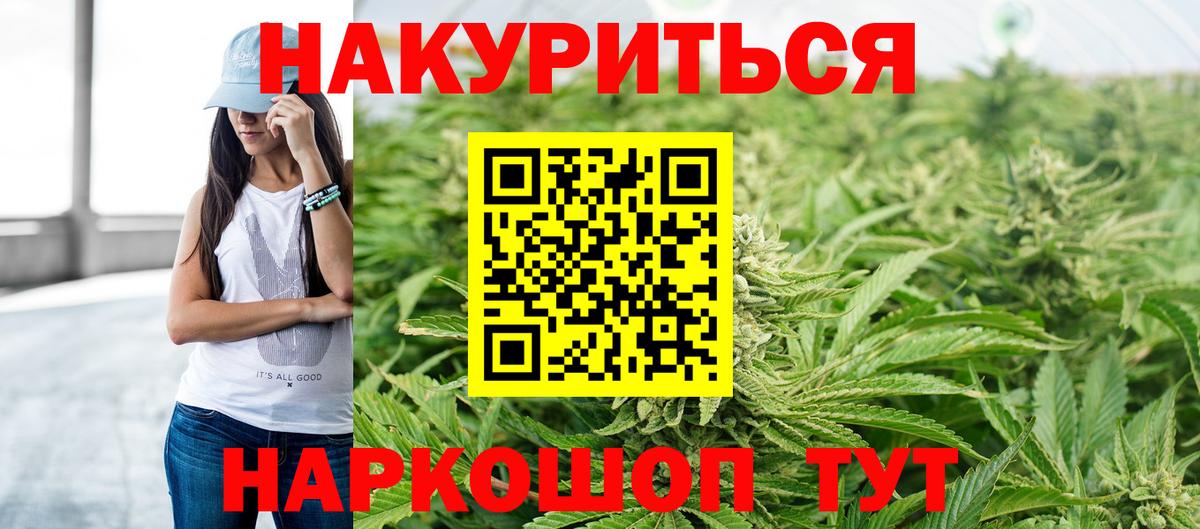 Каннабис сатива Курск